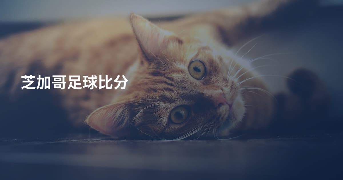 芝加哥足球比分