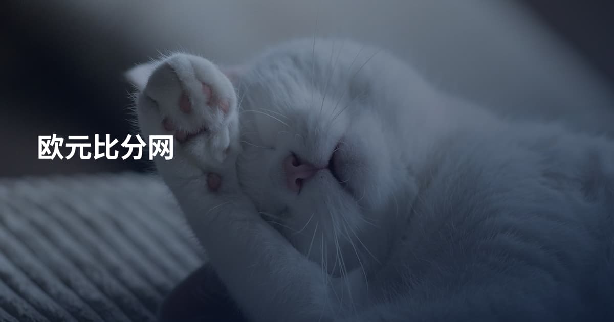 欧元比分网