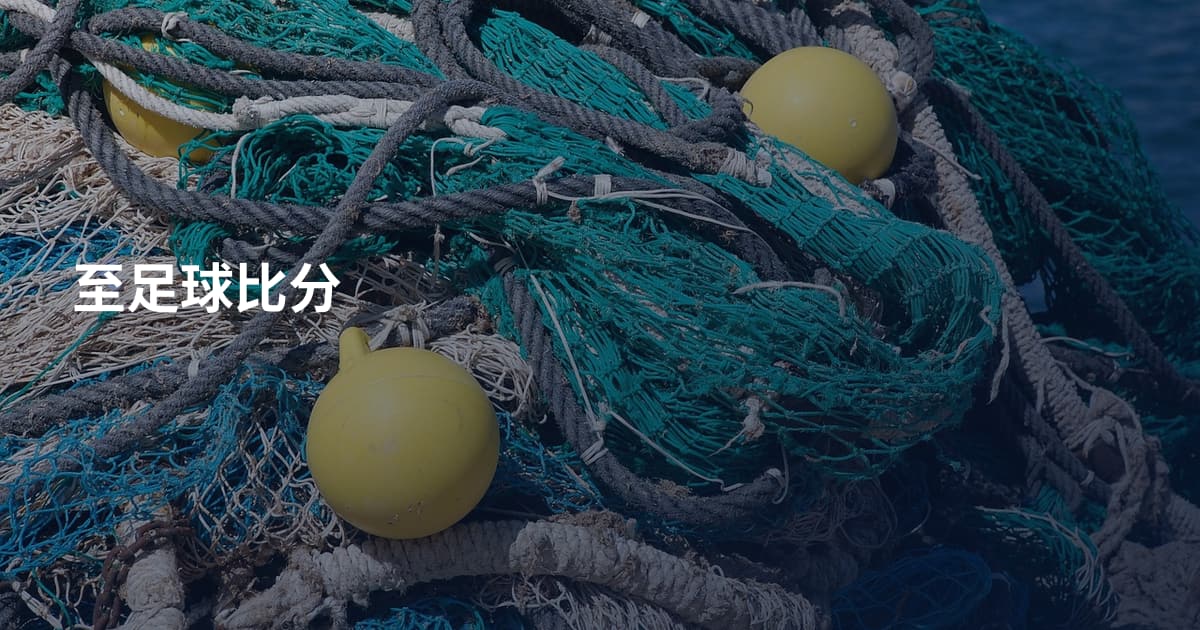 至足球比分