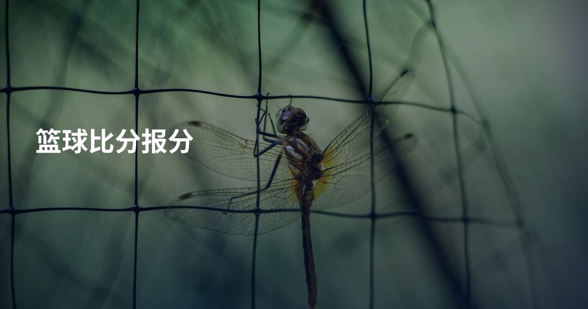 篮球比分报分