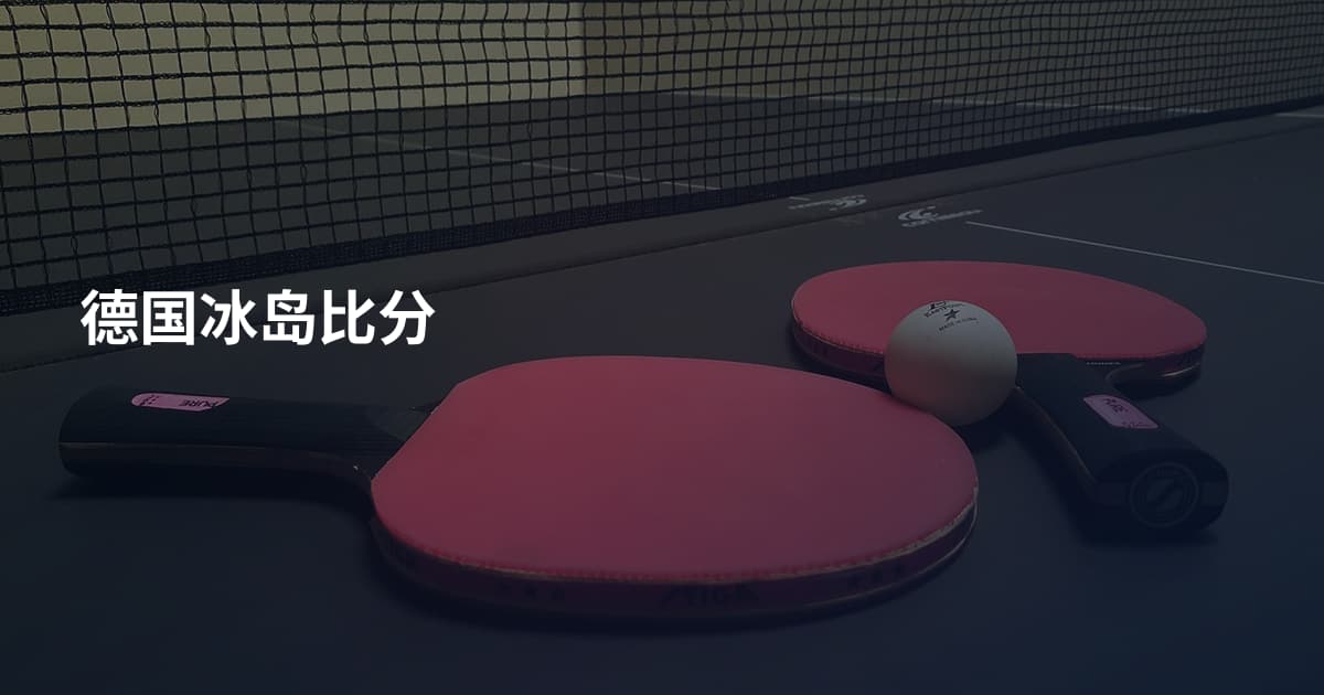 德国冰岛比分