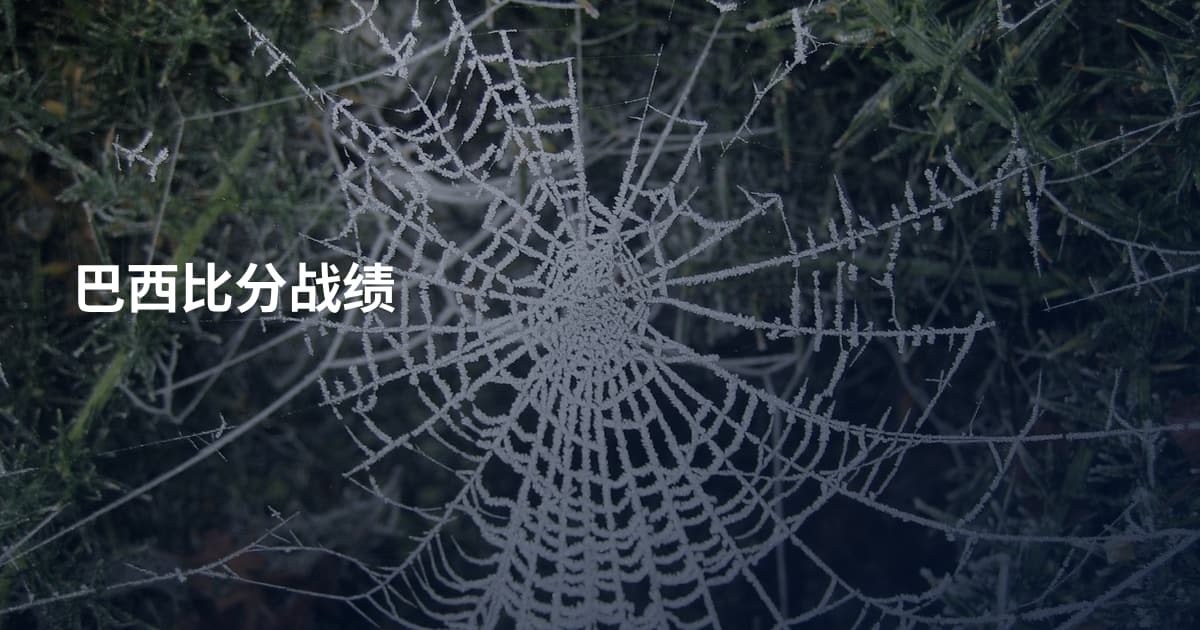 巴西比分战绩