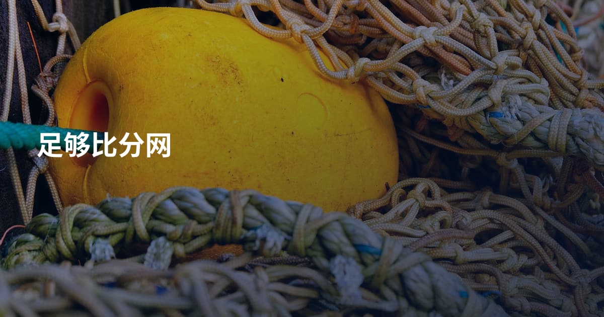足够比分网
