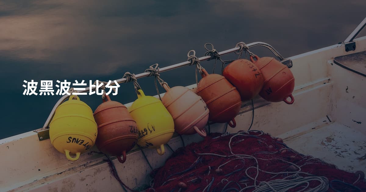 波黑波兰比分