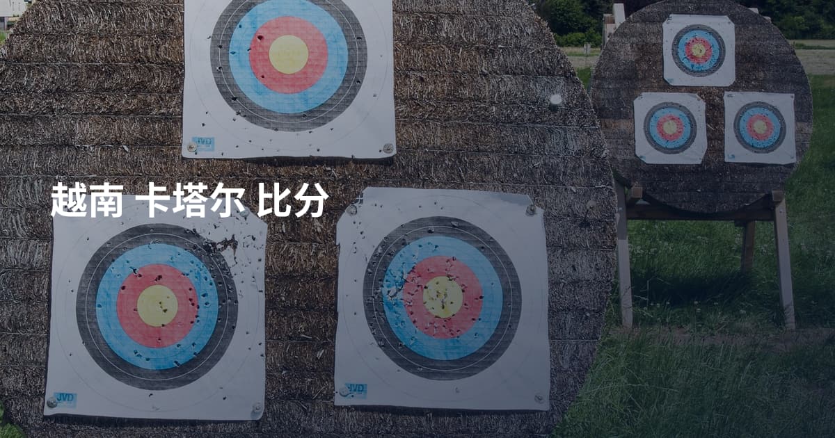越南 卡塔尔 比分