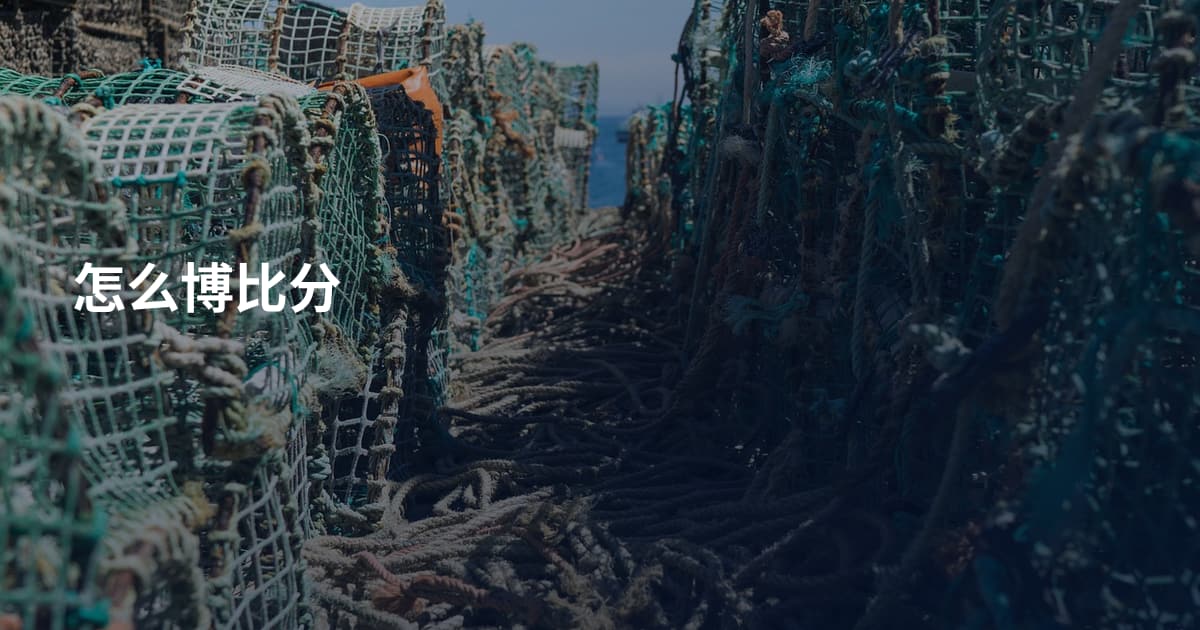 怎么博比分