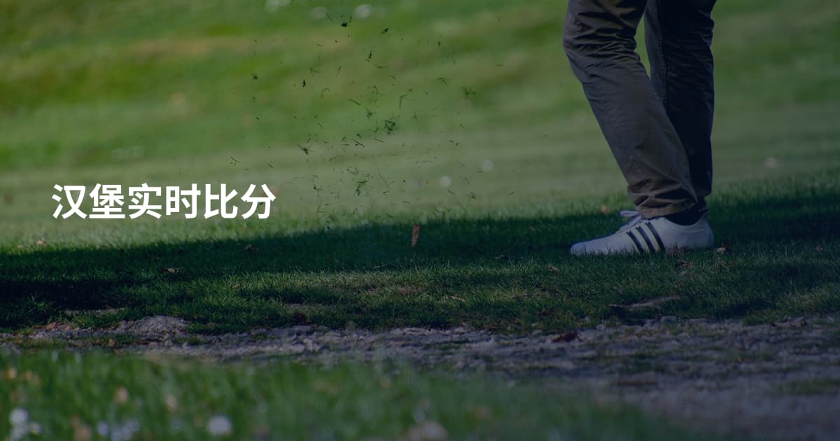 汉堡实时比分