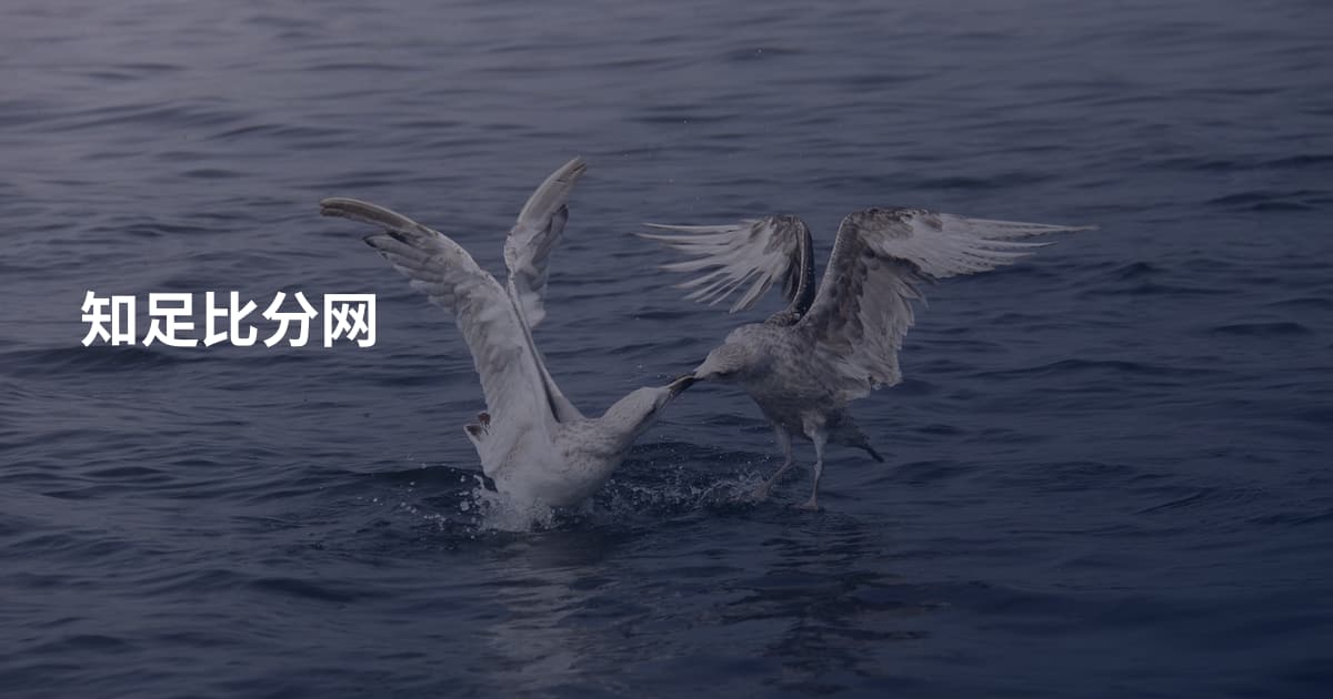知足比分网