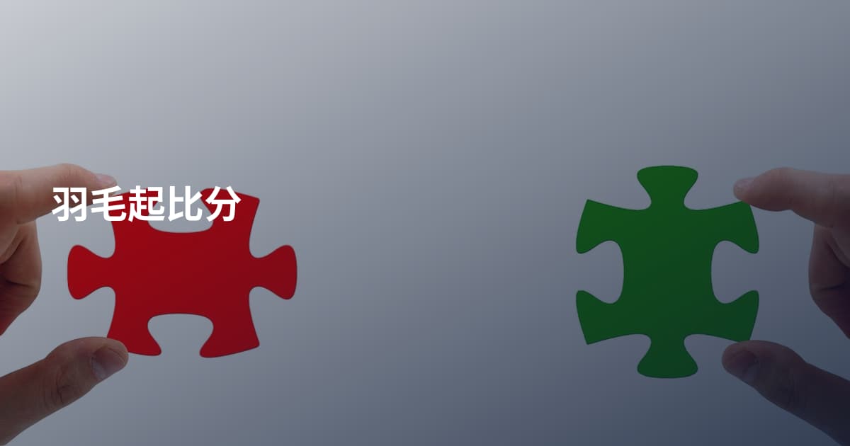 羽毛起比分