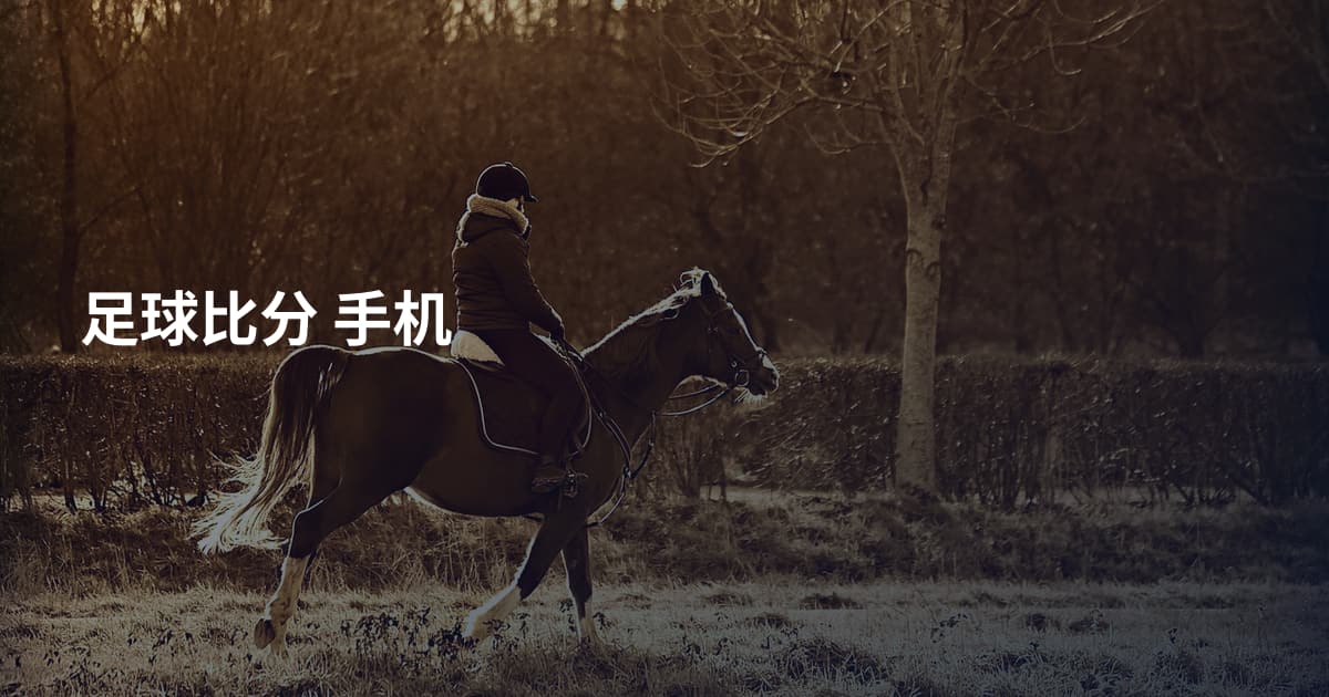 足球比分 手机