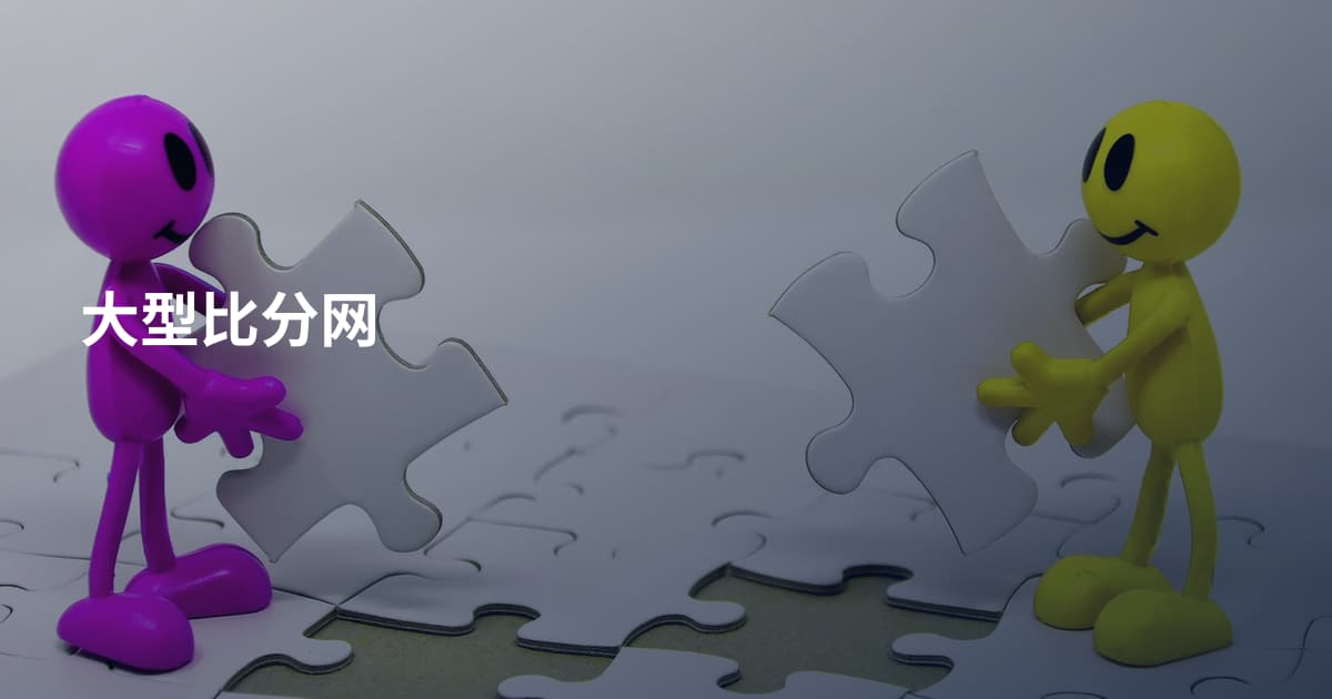 大型比分网