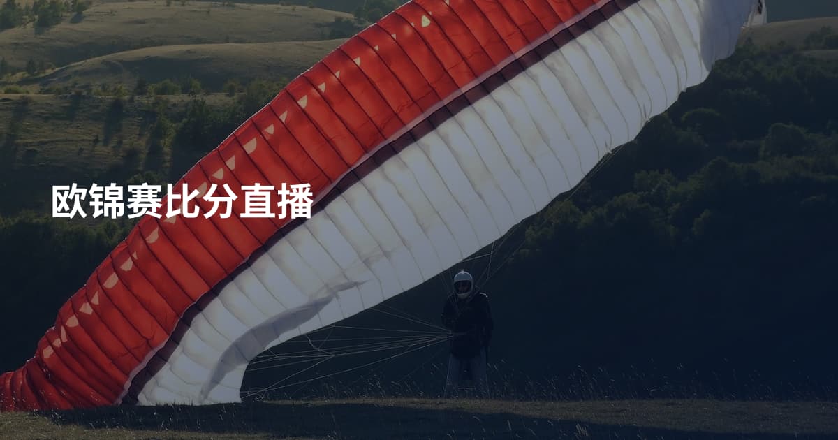 欧锦赛比分直播