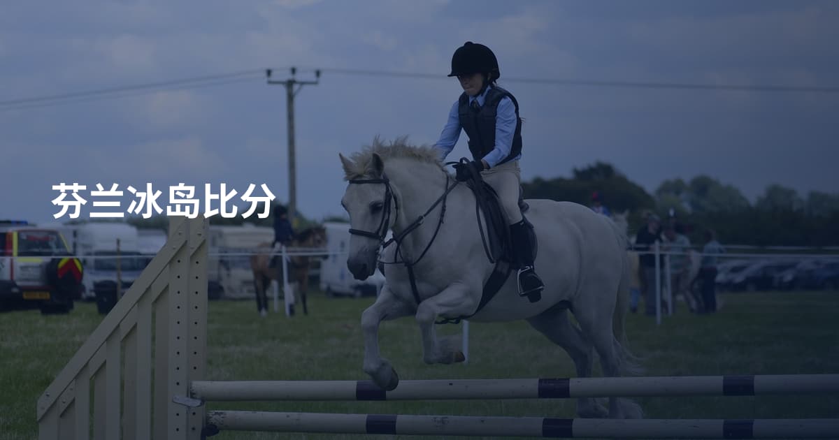 芬兰冰岛比分