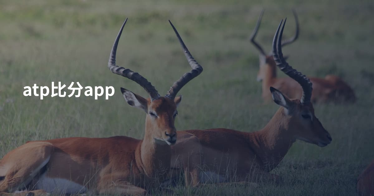 atp比分app