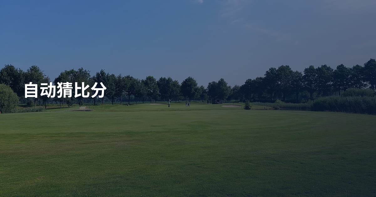 自动猜比分