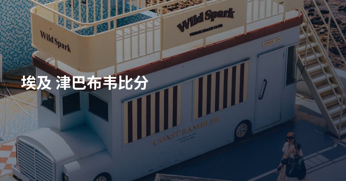 埃及 津巴布韦比分
