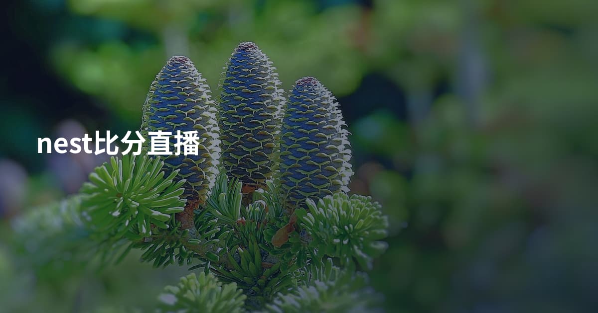 nest比分直播
