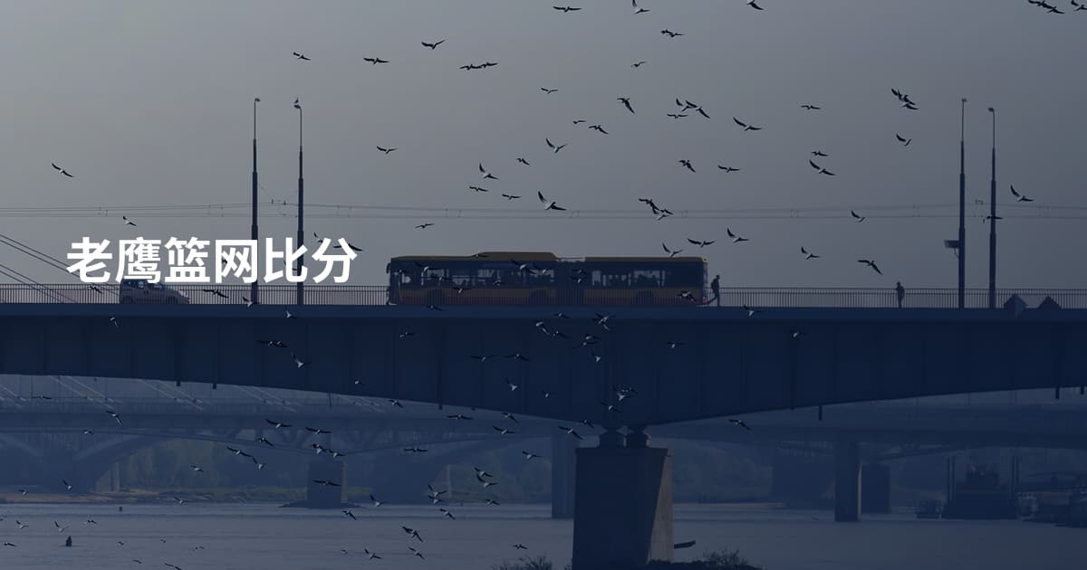 老鹰篮网比分