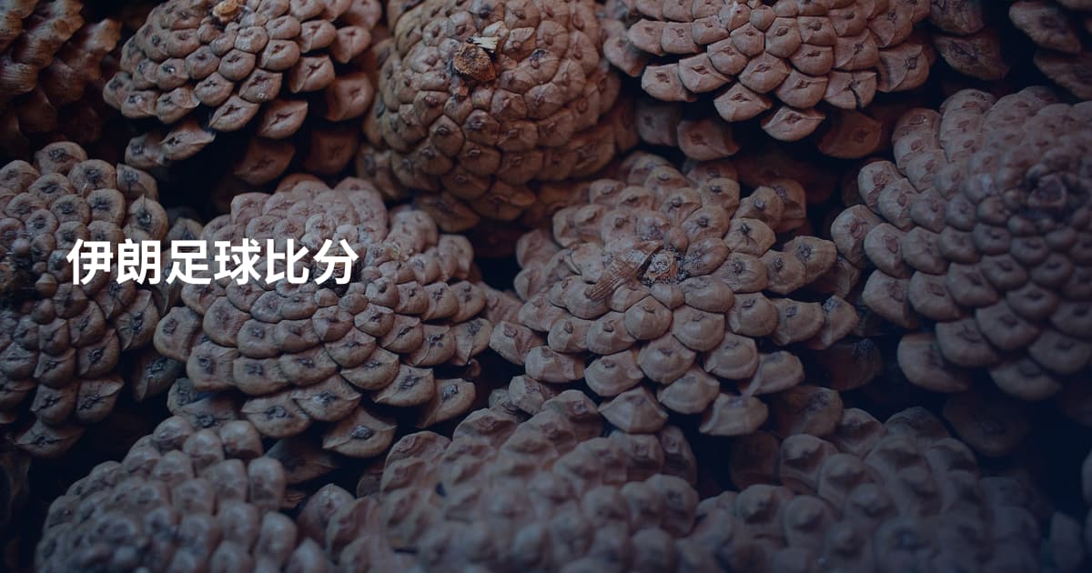 伊朗足球比分
