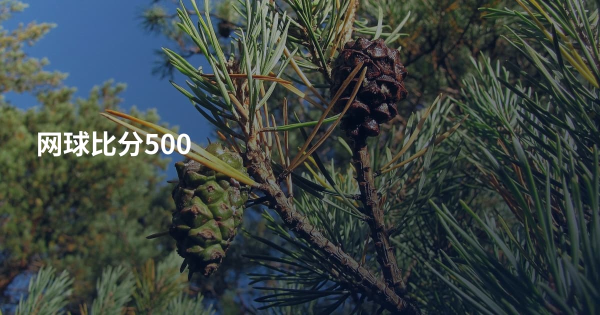 网球比分500