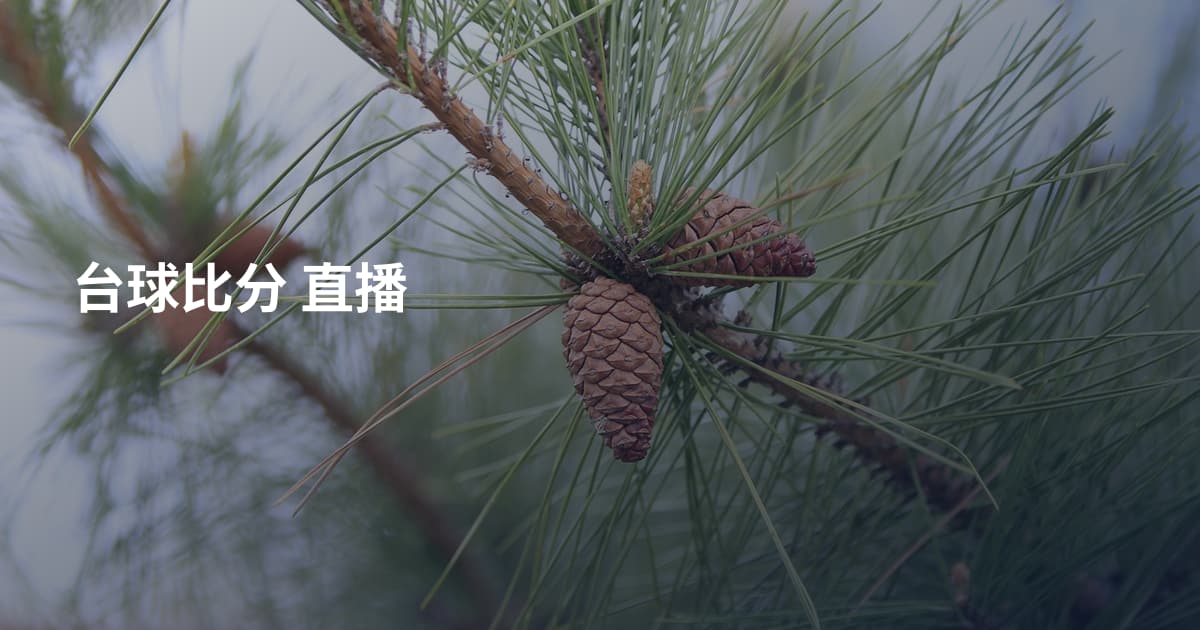 台球比分 直播