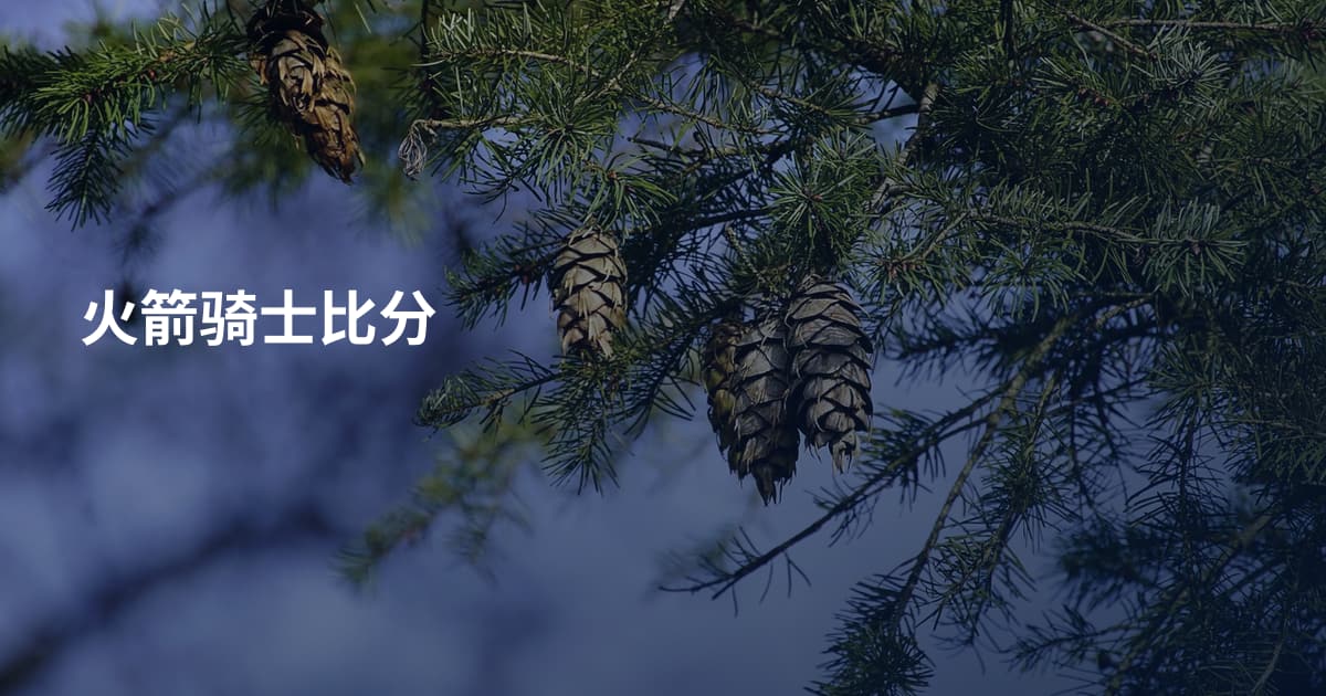 火箭骑士比分