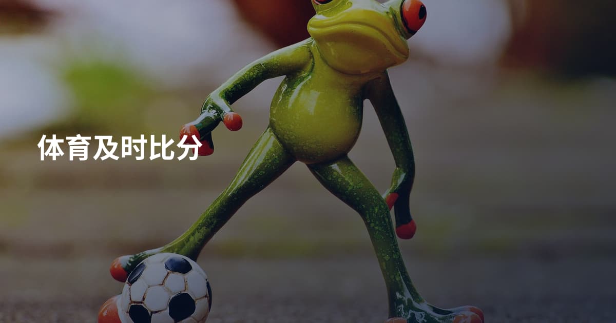 体育及时比分
