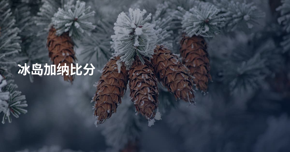 冰岛加纳比分