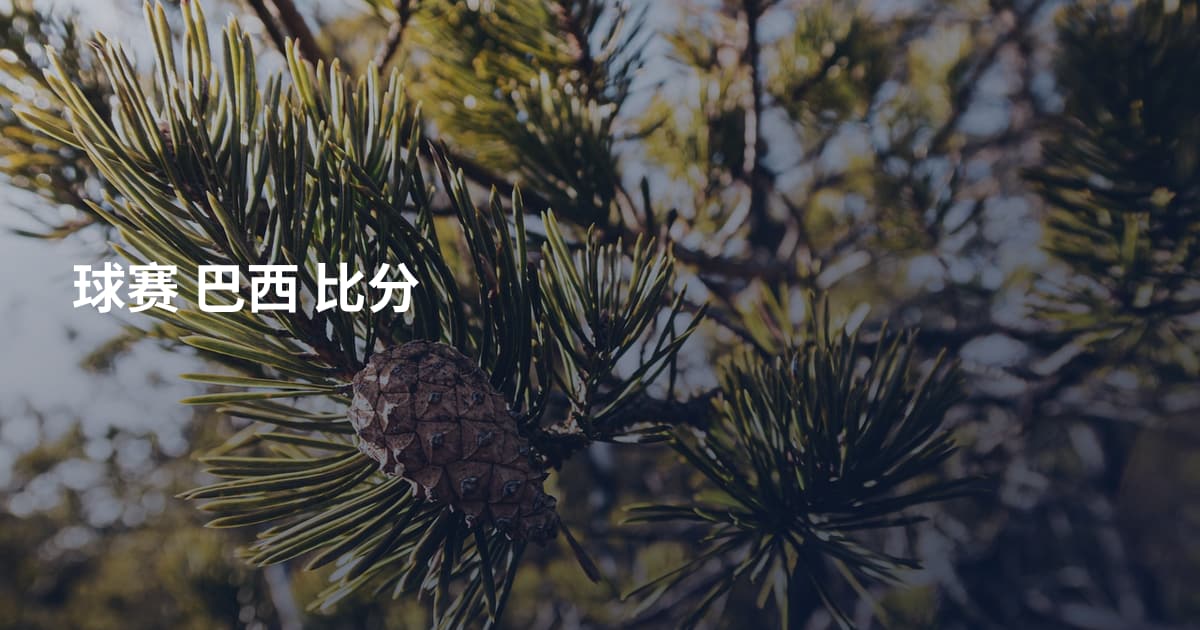 球赛 巴西 比分