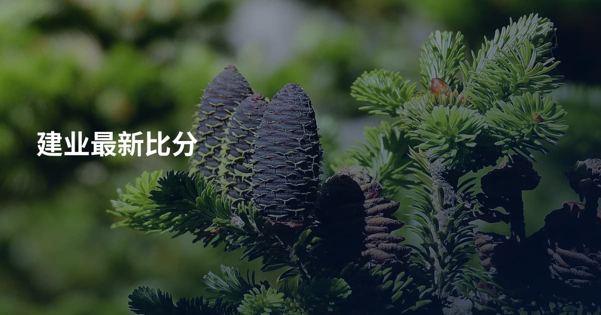 建业最新比分