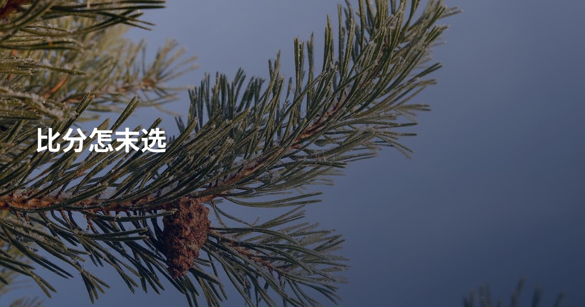 比分怎末选