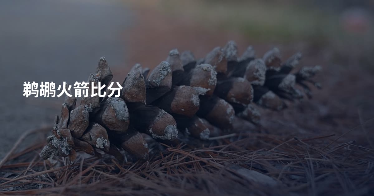 鹈鹕火箭比分