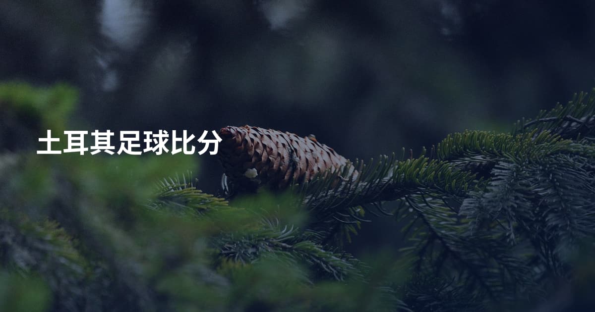 土耳其足球比分