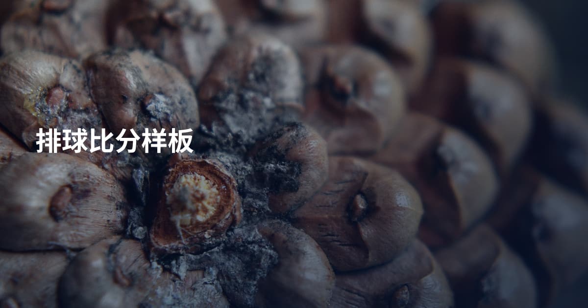 排球比分样板