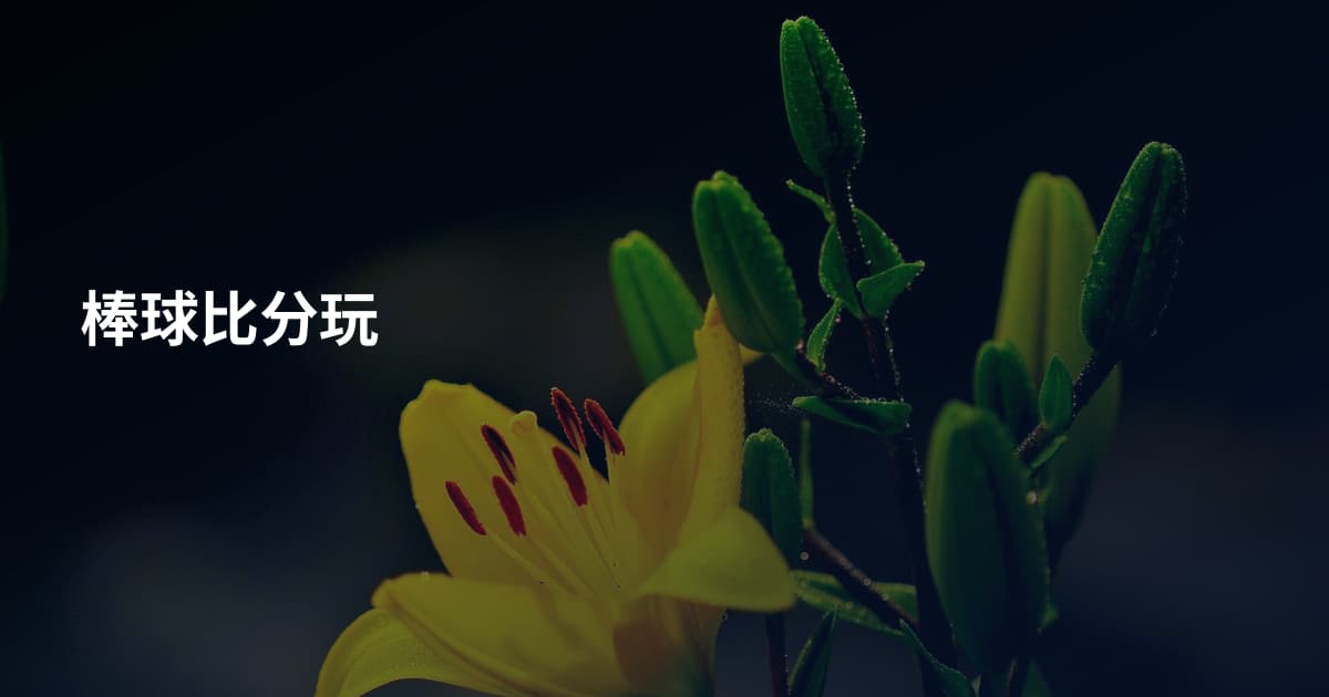 棒球比分玩