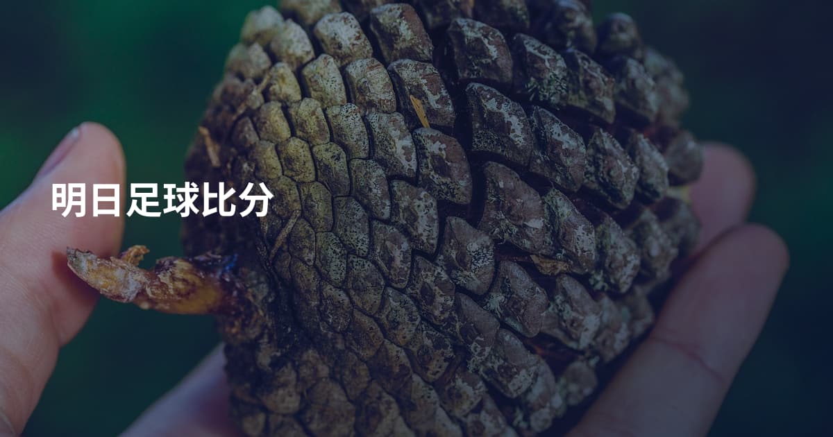 明日足球比分