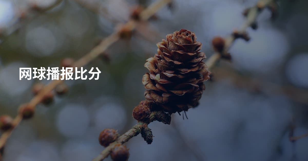 网球播报比分