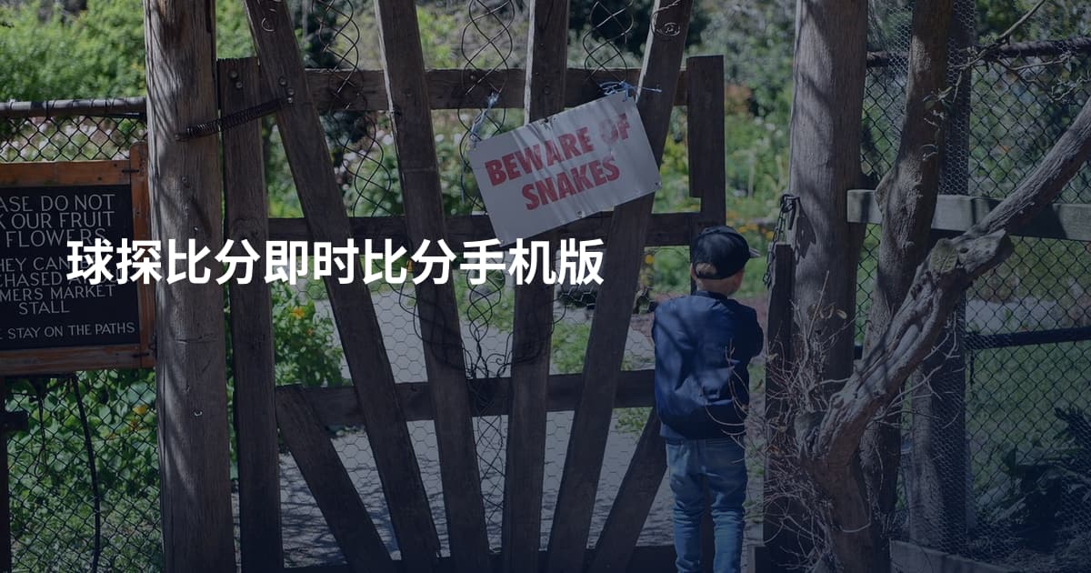球探比分即时比分手机版