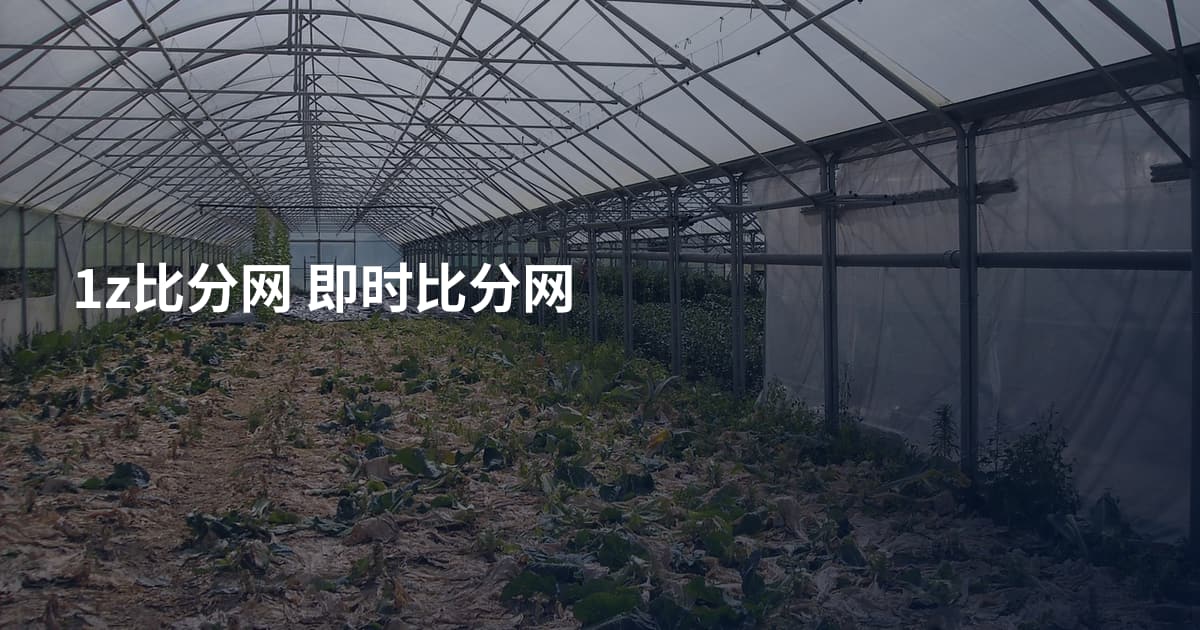 1z比分网 即时比分网