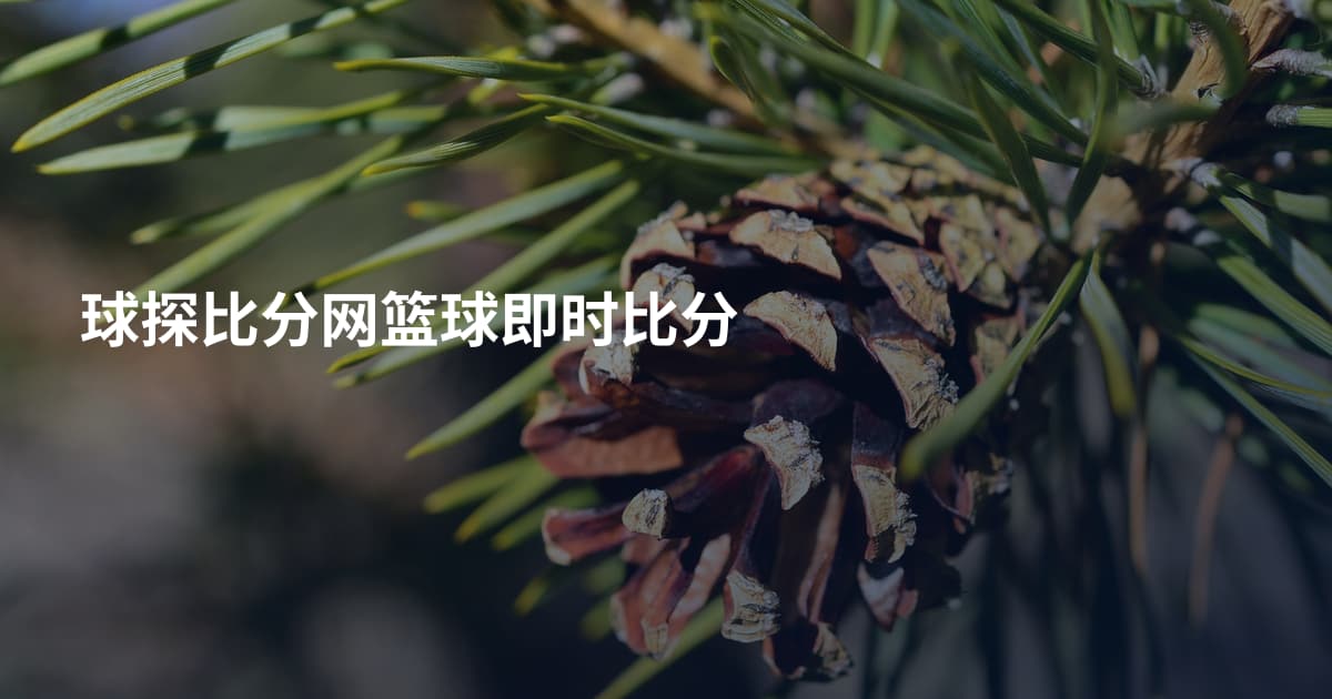 球探比分网篮球即时比分