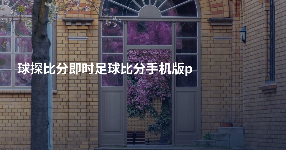球探比分即时足球比分手机版p