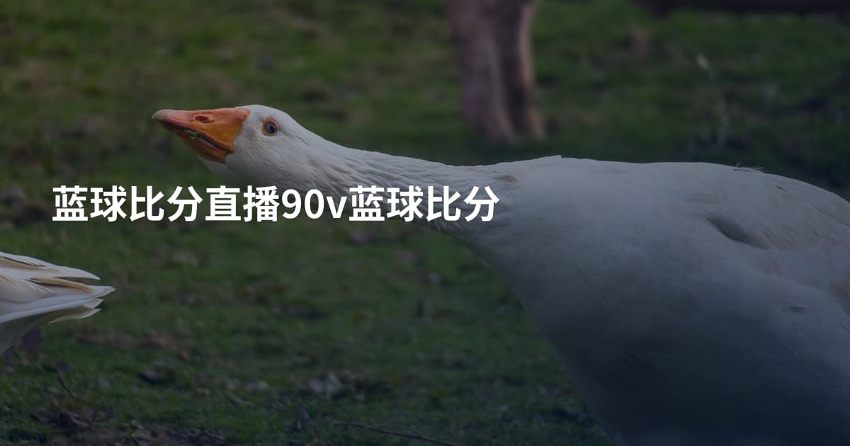 蓝球比分直播90v蓝球比分