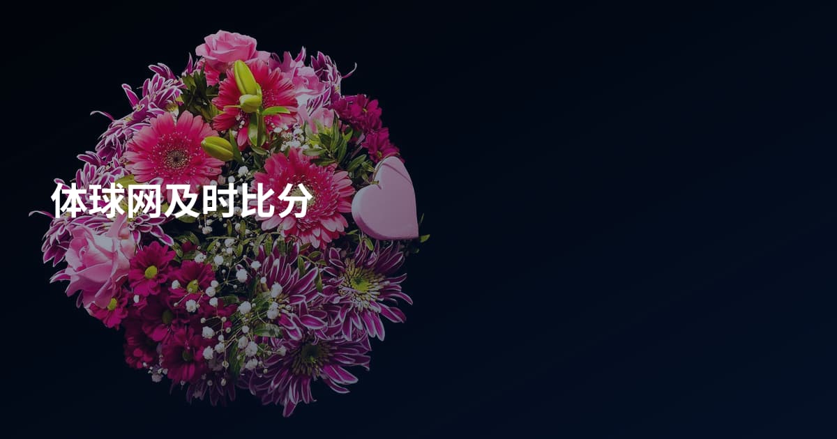 体球网及时比分