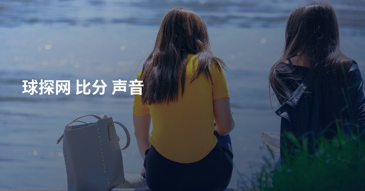 球探网 比分 声音