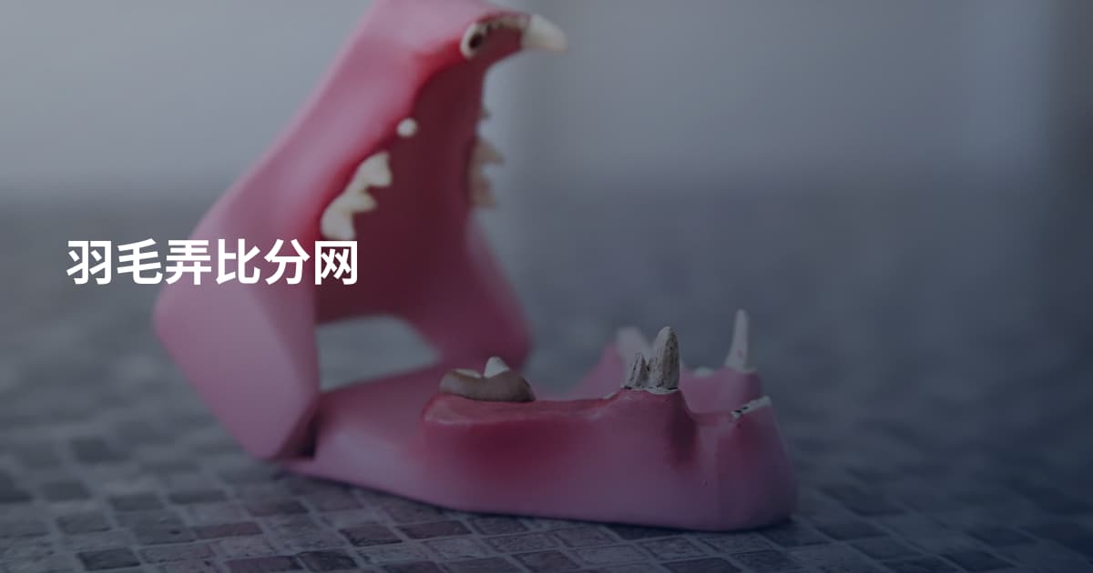 羽毛弄比分网