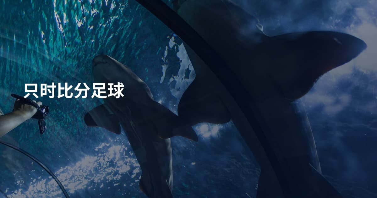 只时比分足球