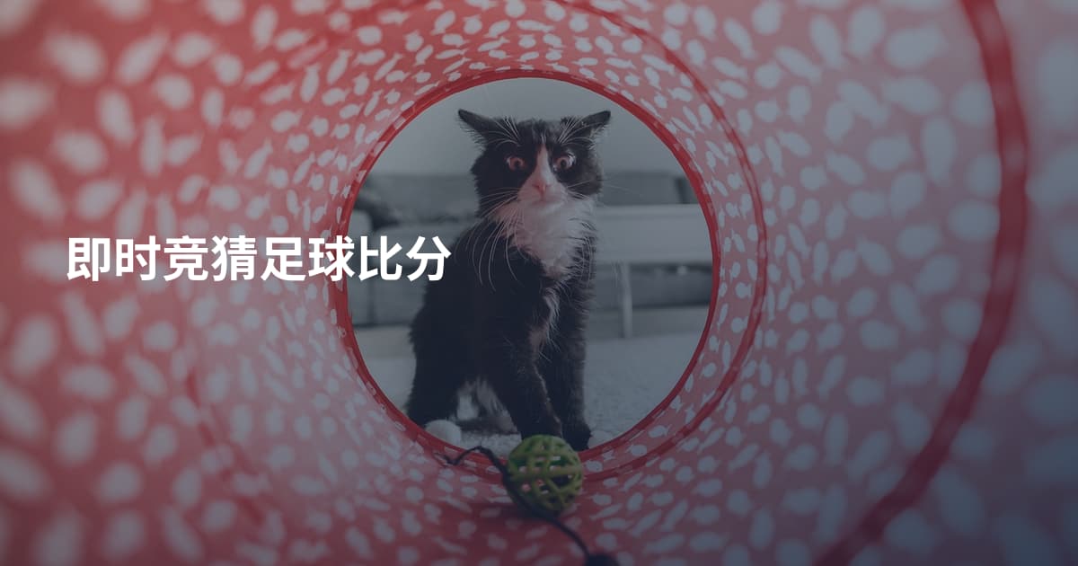 即时竞猜足球比分