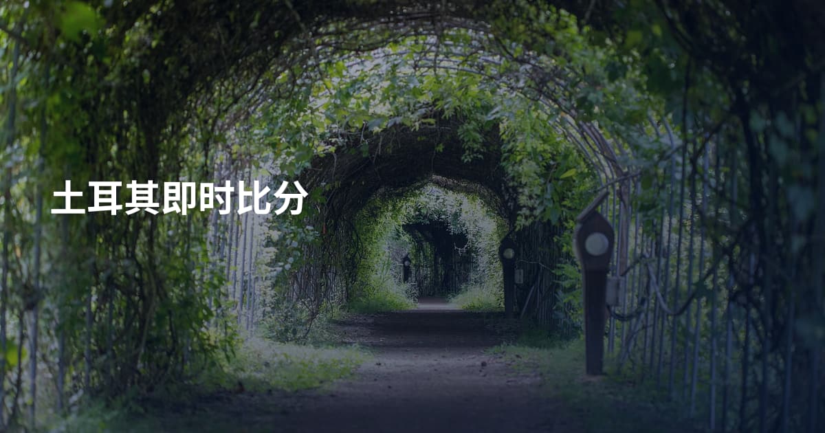 土耳其即时比分