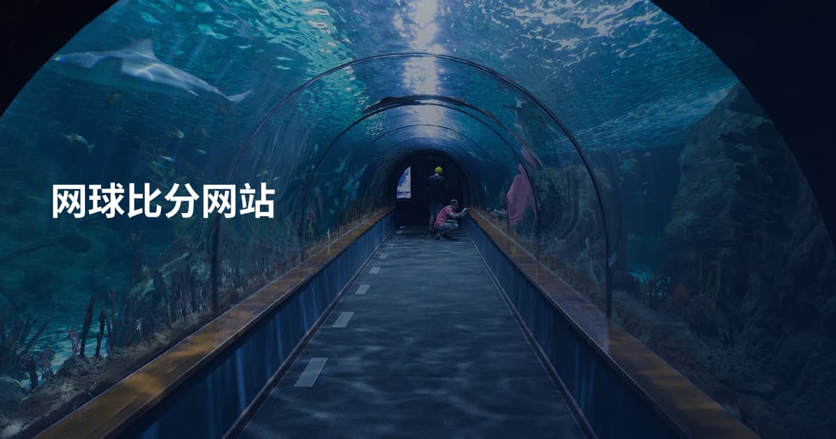 网球比分网站