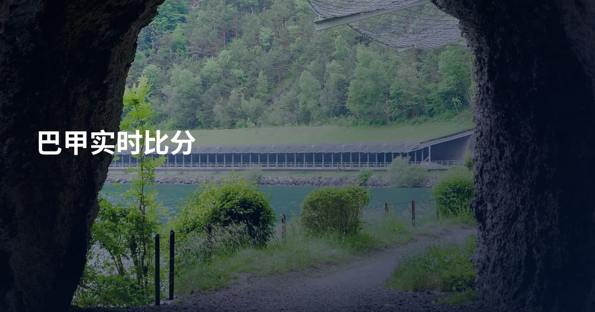 巴甲实时比分